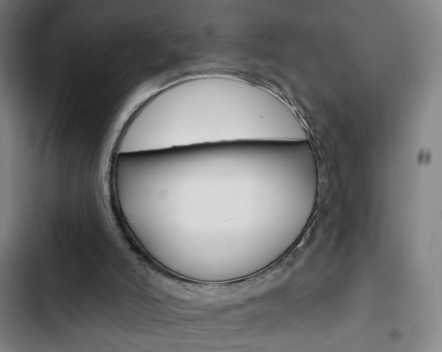 X0000103320006200809051009
