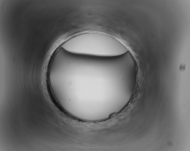 X0000103320007200809051009