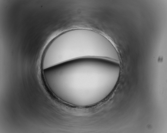 X0000103320008200809051009