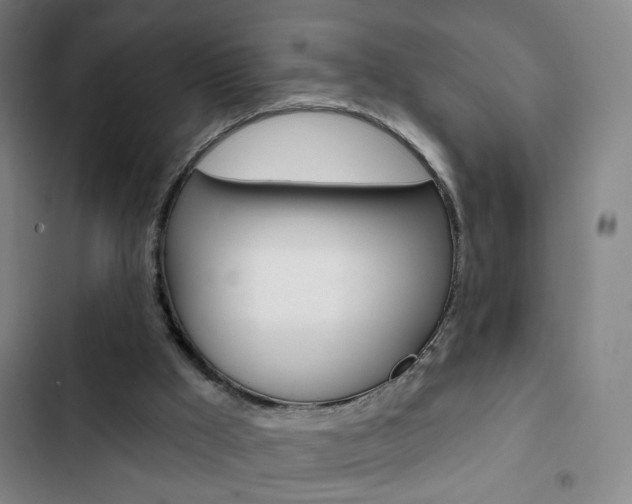 X0000103320009200809051009