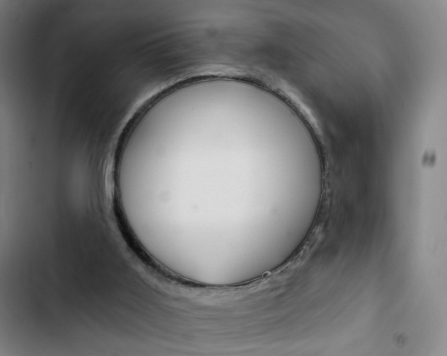 X0000103320011200809051009