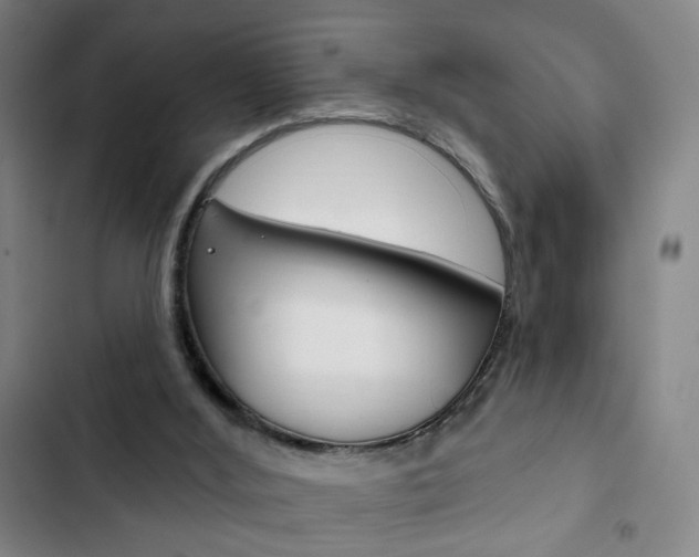 X0000103320012200809051009