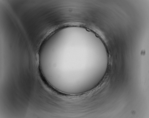 X0000103320013200809051009