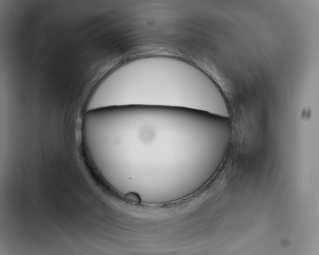 X0000103320014200809051009