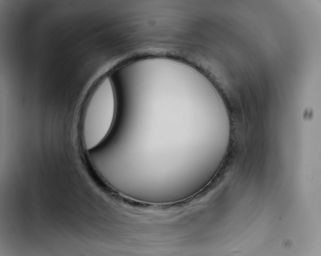 X0000103320016200809051009