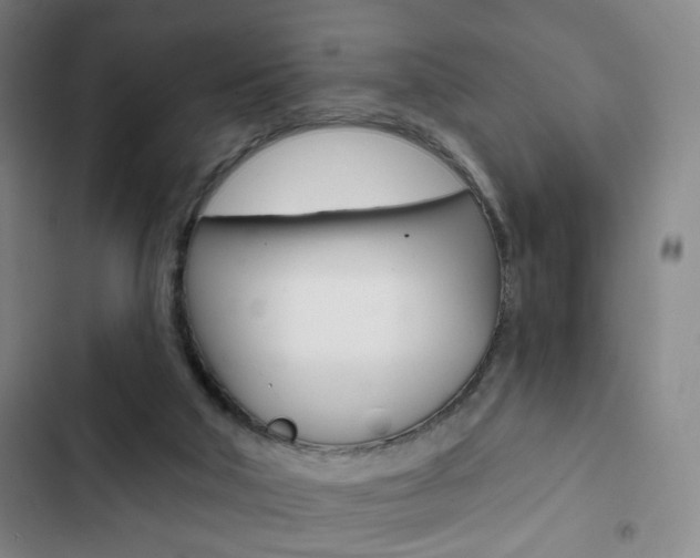 X0000103320018200809051009