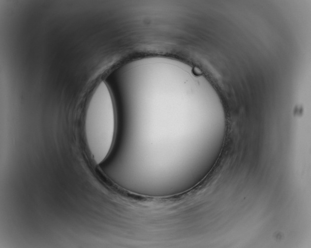 X0000103320020200809051009