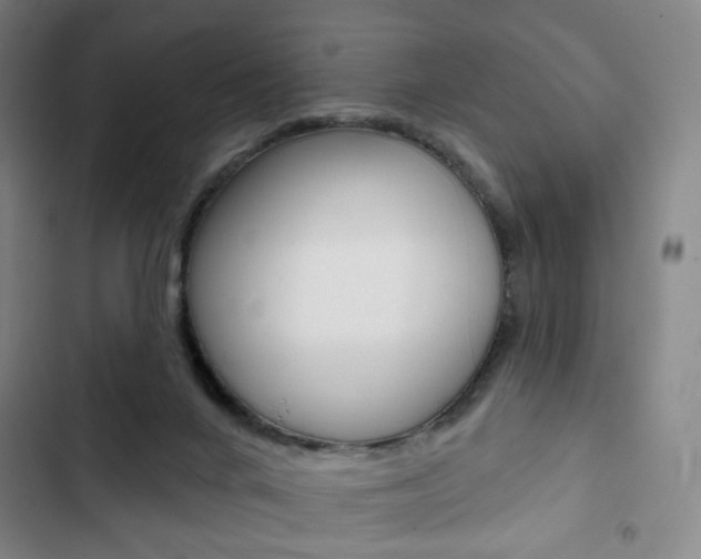X0000103320024200809051009