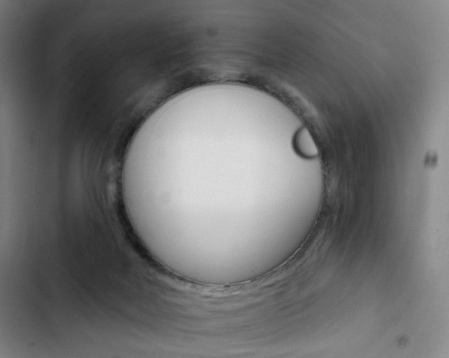 X0000103320026200809051009