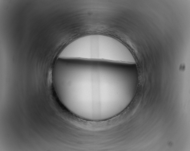 X0000103320027200809051009