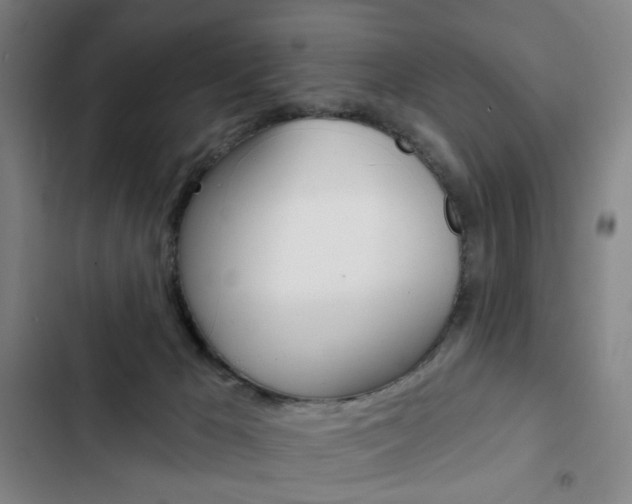 X0000103320029200809051009