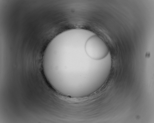 X0000103320030200809051009
