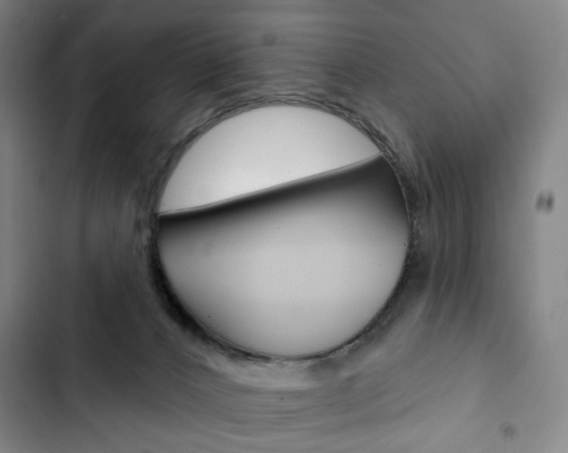 X0000103320032200809051009