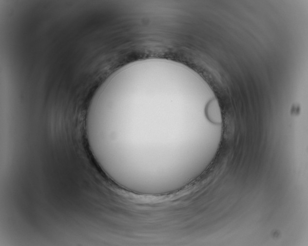 X0000103320034200809051009