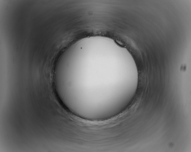 X0000103320039200809051009