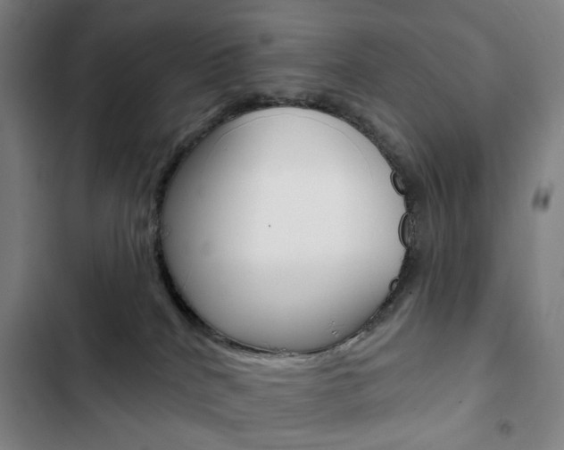 X0000103320040200809051009
