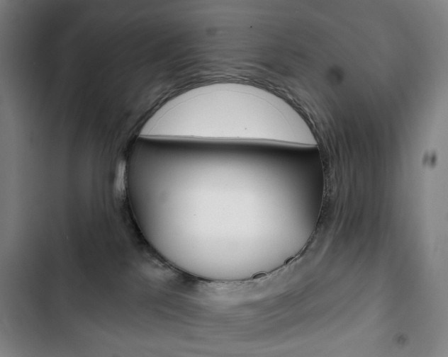 X0000103320041200809051009