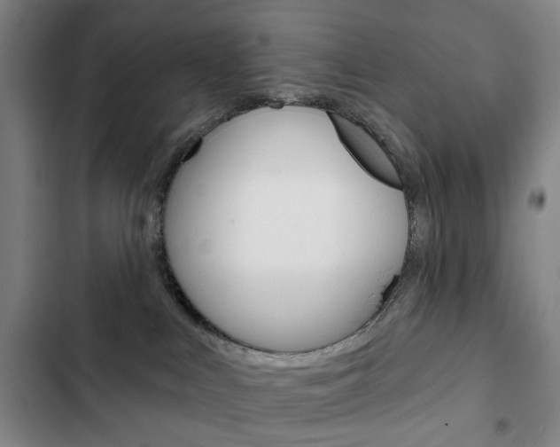 X0000103320043200809051009