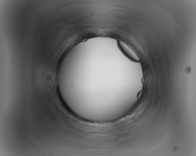 X0000103320044200809051009