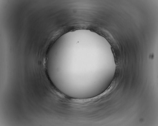 X0000103320045200809051009