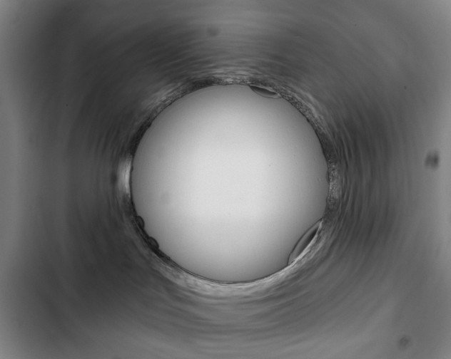 X0000103320047200809051009