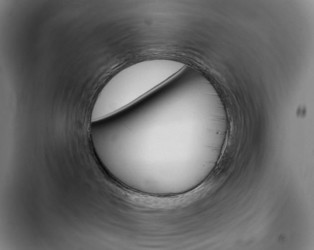 X0000103320048200809051009