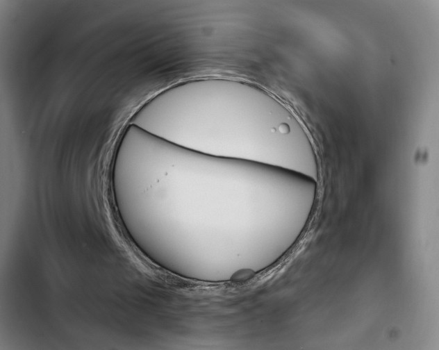 X0000103320049200809051008