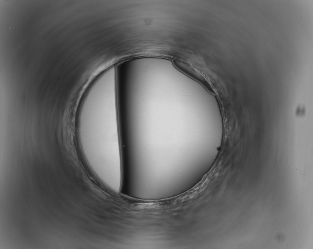 X0000103320050200809051008