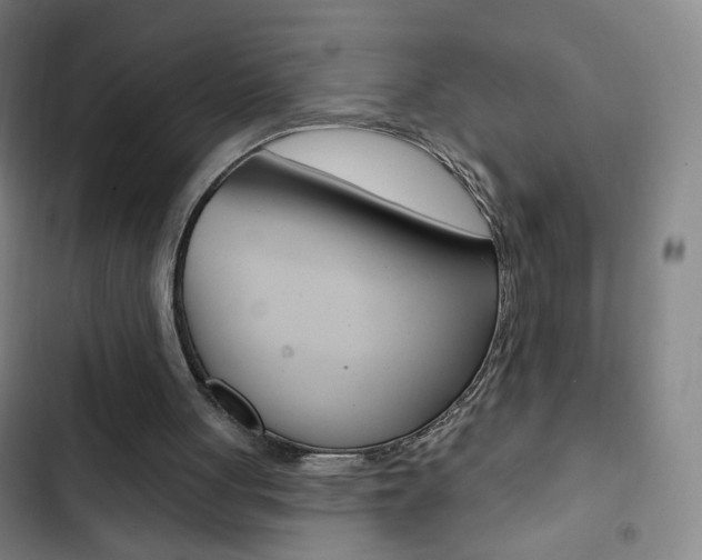 X0000103320051200809051008