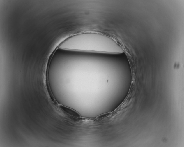 X0000103320052200809051008
