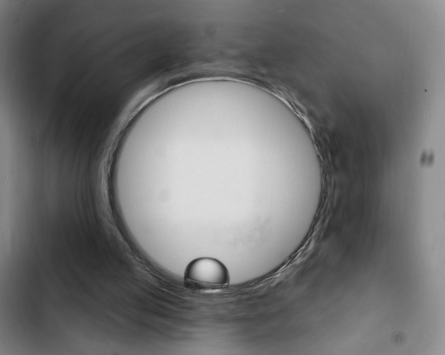 X0000103320053200809051008