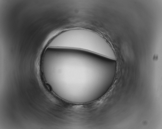 X0000103320054200809051008