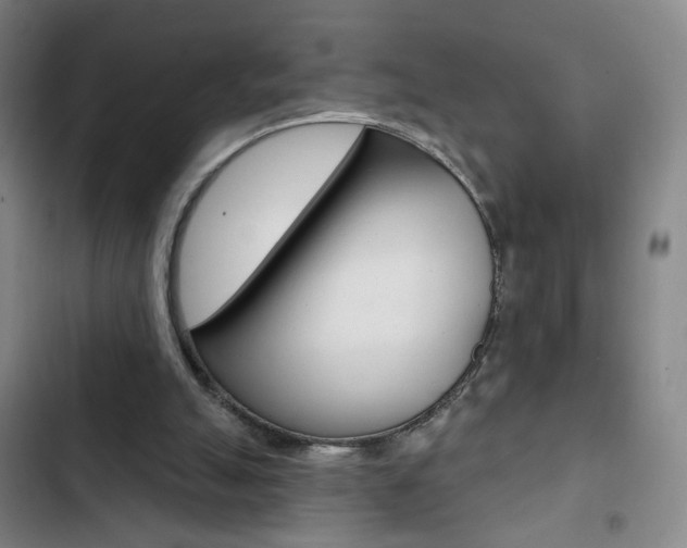 X0000103320055200809051008
