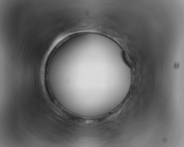 X0000103320056200809051008