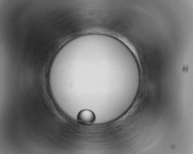 X0000103320057200809051008
