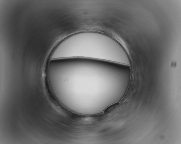 X0000103320059200809051008