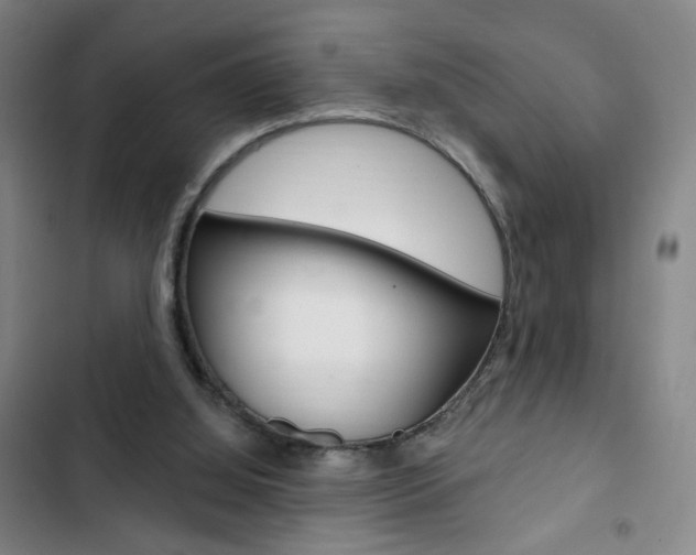 X0000103320060200809051008