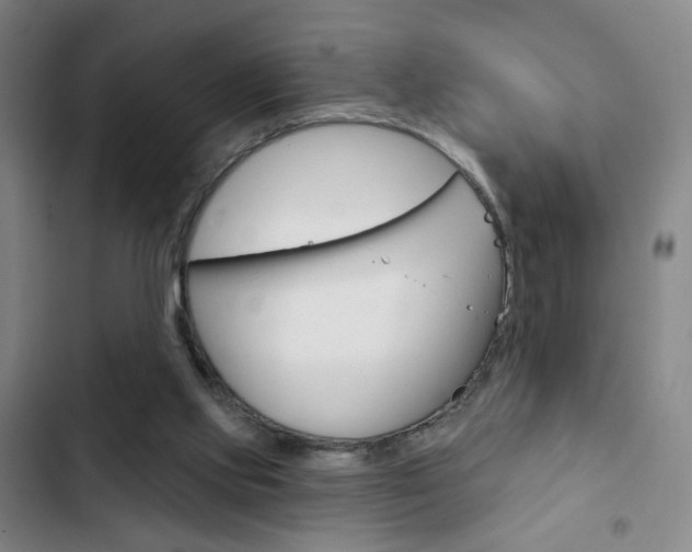 X0000103320061200809051008