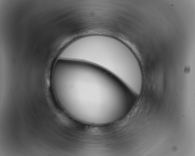 X0000103320062200809051008