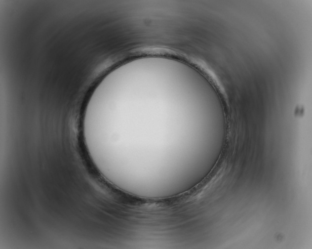 X0000103320063200809051008