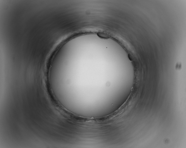 X0000103320064200809051008