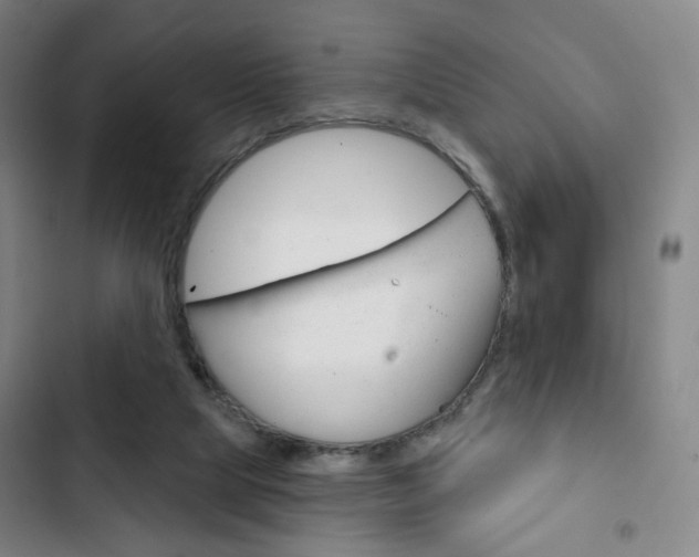 X0000103320065200809051008