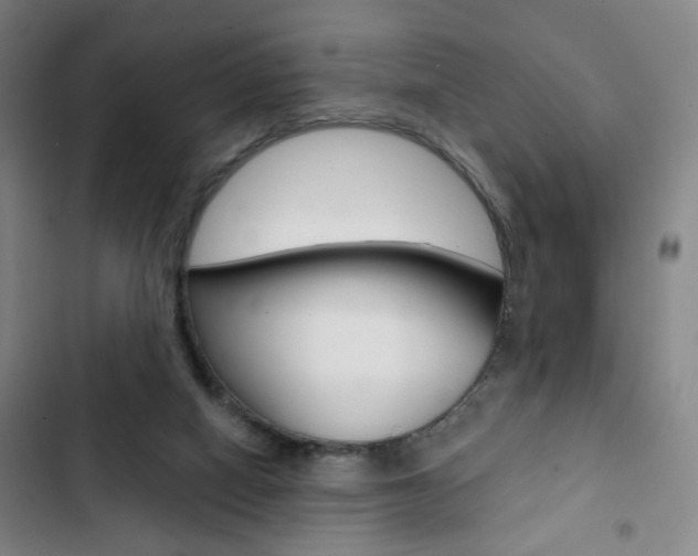 X0000103320066200809051008