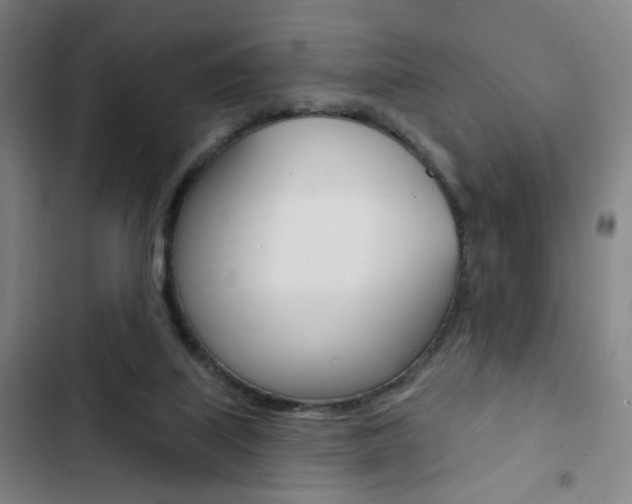 X0000103320067200809051008