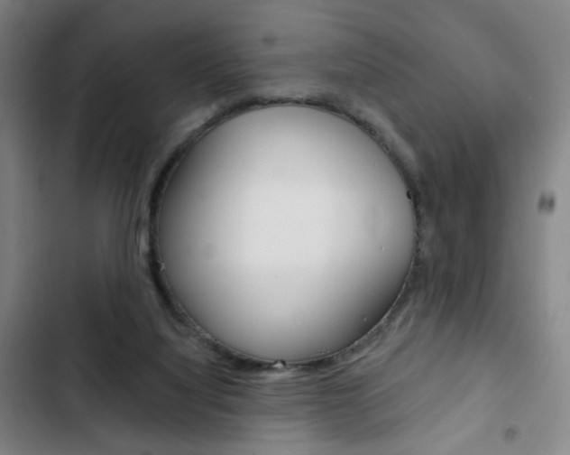 X0000103320068200809051008