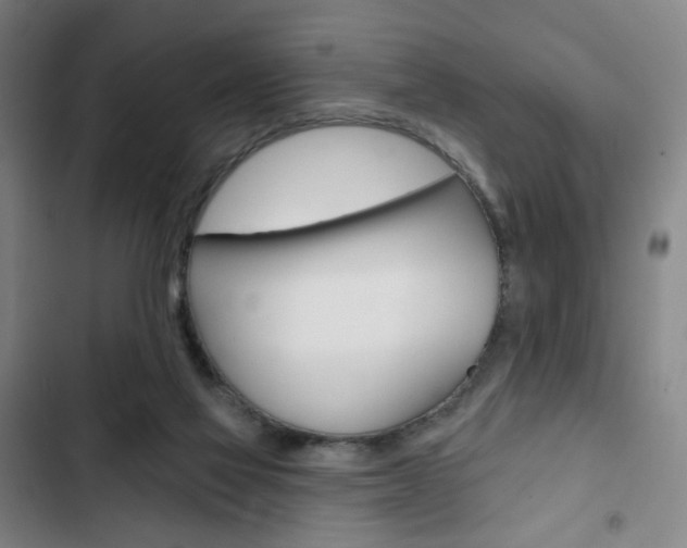 X0000103320069200809051008
