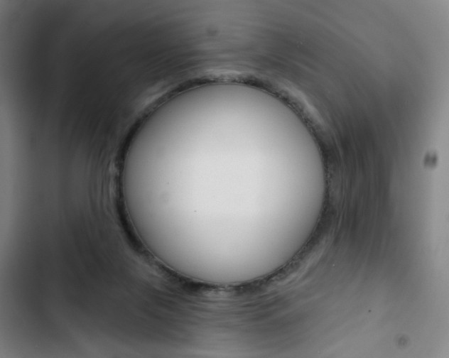 X0000103320071200809051008