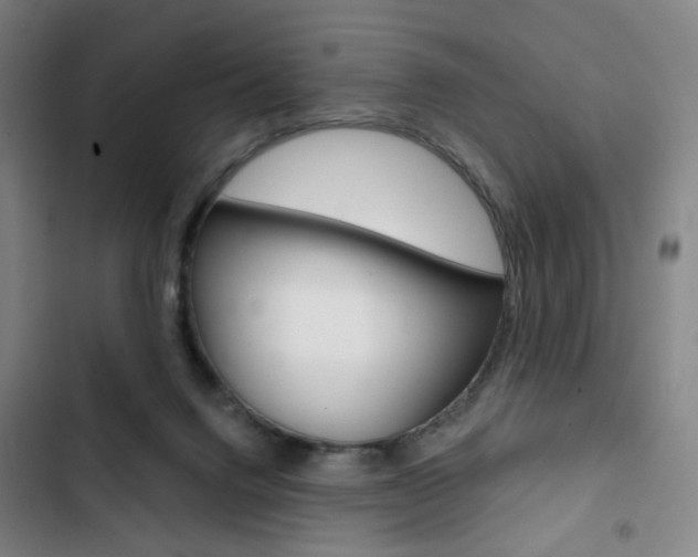X0000103320072200809051008