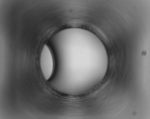 X0000103320073200809051008