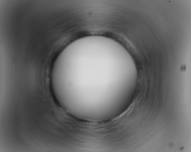 X0000103320074200809051008